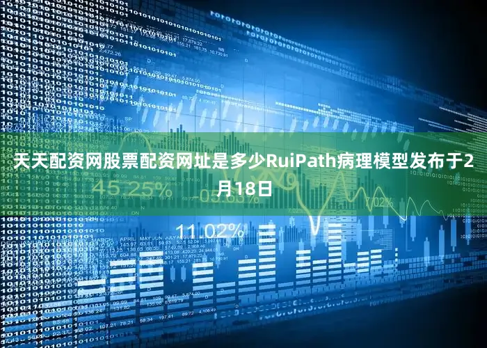 天天配资网股票配资网址是多少　　RuiPath病理模型发布于2月18日