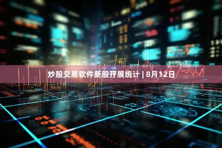炒股交易软件新股孖展统计 | 8月12日