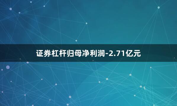 证券杠杆归母净利润-2.71亿元