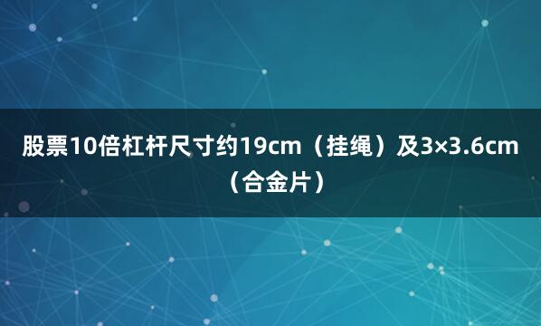 股票10倍杠杆尺寸约19cm(挂绳)及3×3.6cm(合金片)